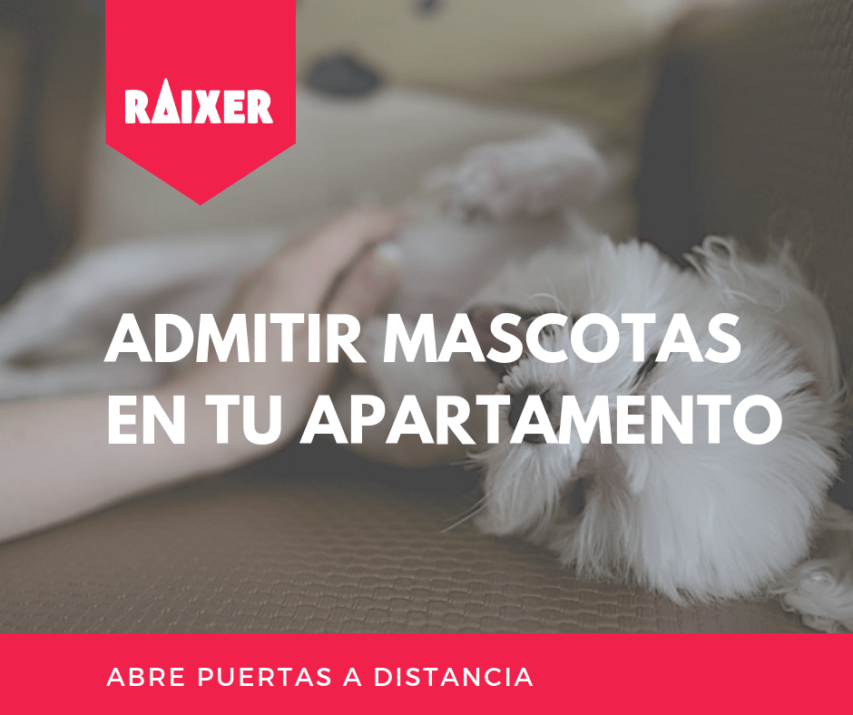 Admitir mascotas en tu apartamento: ventajas e inconvenientes